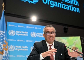 Covid-19. Covid-19. Nova pista aponta cão-guaxinim como possível origem