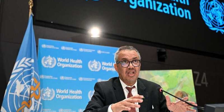 Covid-19. Covid-19. Nova pista aponta cão-guaxinim como possível origem