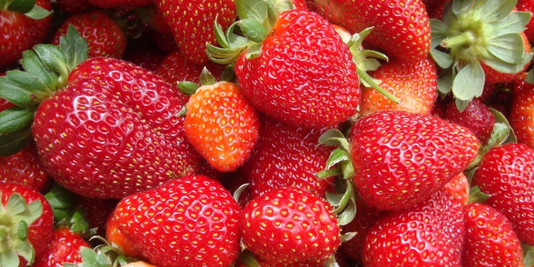 Alimentos que quase não contêm calorias