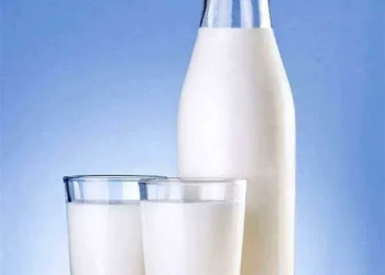 Beber leite é bom para a saúde? Descubra o que dizem os especialistas