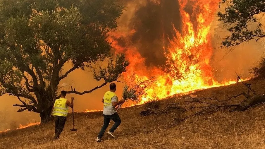 Incêndios na Argélia