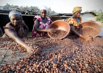 Feira dos Municípios e Cidades
