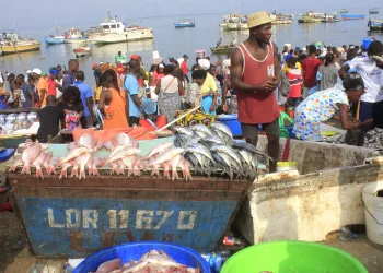 Escassez de Peixe em Luanda