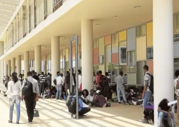 Formação Contínua