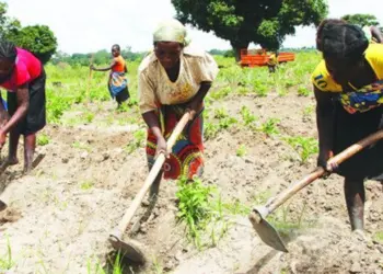 Programa de Reconversão da Economia Informal