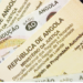 Novo Título do Veículo