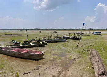 Seca Extrema na Amazónia