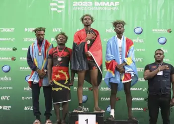 Artes Marciais Mistas