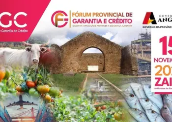 Fundo de Garantia de Crédito/Zaire