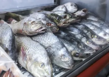Preços do Pescado na Huíla