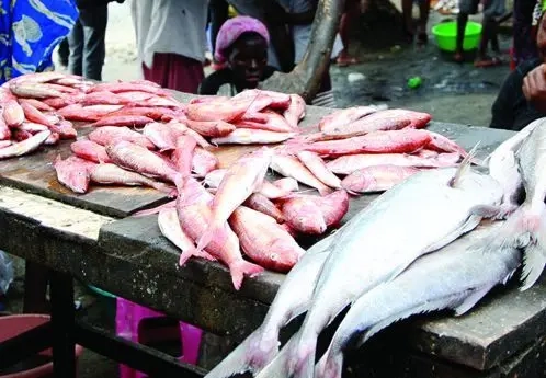 Baía Farta em Benguela