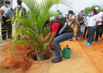 Governo Provincial de Luanda