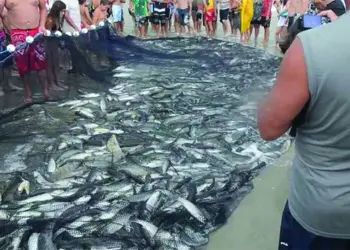 Pesca de Arrasto