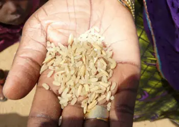 Investigação Criminal na Huíla