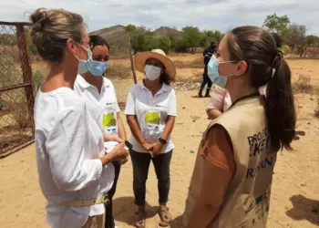 Segurança Alimentar/Namibe