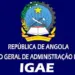 IGAE