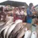 Asseguramento da Quadra Festiva