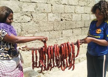 Cerca Sanitária na Humpata/Huíla