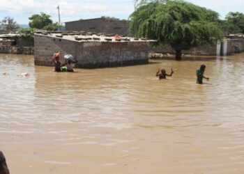 Cooperativas Agrícolas