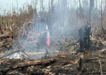 Crimes Ambientais na Huíla