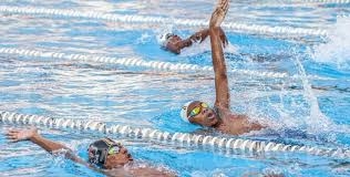 Campeonato Africano de Natação