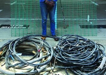 Vandalização de bens públicos