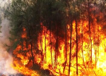 Junho nos Gambos/Huíla