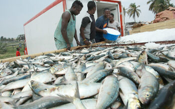 Pesca em Angola