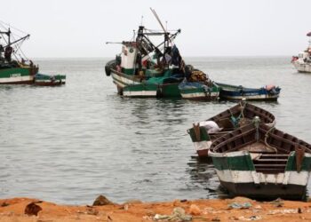 Pesca em Angola