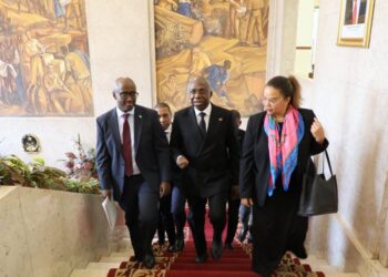 Situação de paz e segurança na RDC