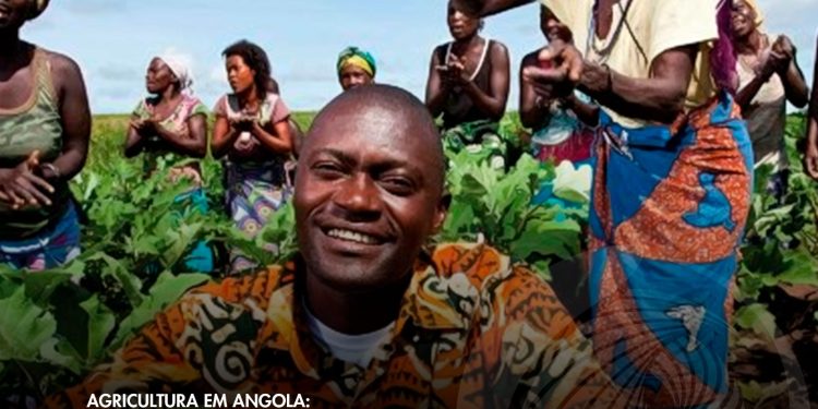 Instituto de Desenvolvimento Agrário alarga para mais 4 anos o programa de apoio às famílias camponesas.