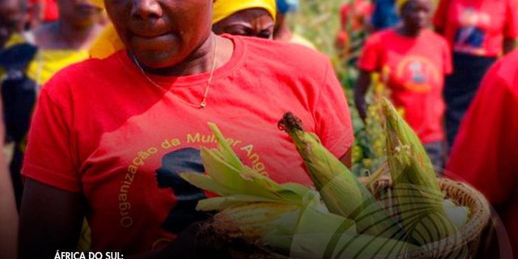 “Kudima”, projecto da OMA, distinguido como o melhor programa de empoderamento feminino de África.