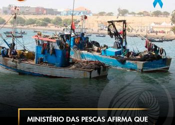 Ministério das Pescas afirma que os mares estão a ficar sem peixes