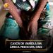 Casos de “Varíola” em África preocupa OMS