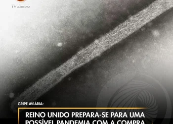 Reino Unido prepara-se para uma possível pandemia com a compra de 5 milhões de vacinas.