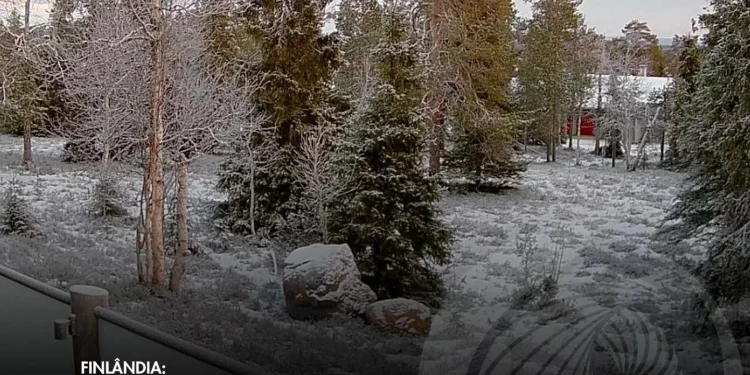 Natal cancelado em Lapónia por falta de neve