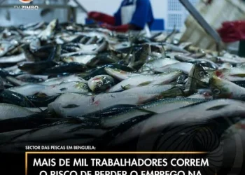 Mais de mil trabalhadores correm o risco de perder o emprego na Baía Farta