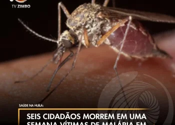 Seis cidadãos morrem em uma semana vítimas de malária em Mavanda