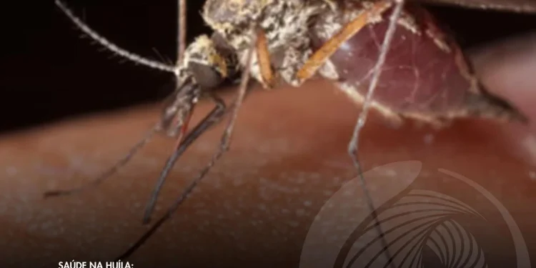 Seis cidadãos morrem em uma semana vítimas de malária em Mavanda