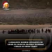 3 migrantes morrem afogados no Canal da Mancha quando tentavam chegar ao Reino Unido