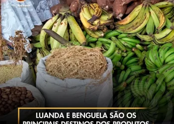 Luanda e Benguela são os principais destinos dos produtos agrícolas do Bié