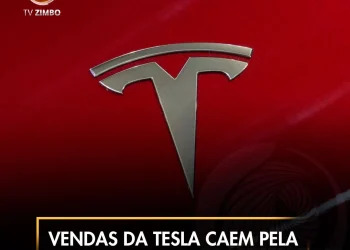 Vendas da Tesla caem pela primeira vez em 9 anos