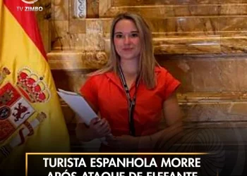 Turista espanhola morre após ataque de elefante na Tailândia