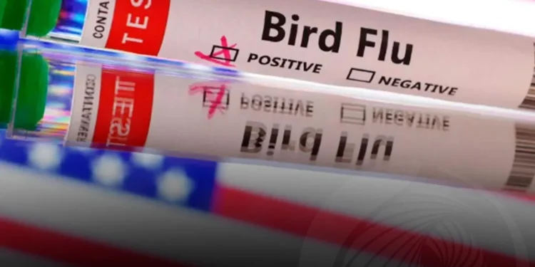 EUA confirma primeira morte humana por gripe aviária