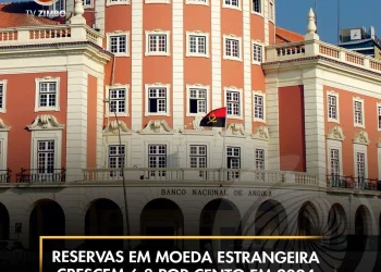 Reservas em moeda estrangeira crescem 6,8 por cento em 2024