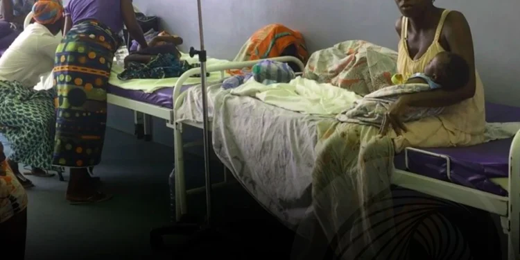 Luanda Regista 23 Casos de cólera nas Últimas 24 Horas