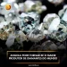 Angola pode tornar-se o maior produtor de diamantes do mundo