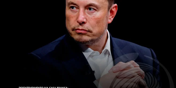 Musk critica projecto de inteligência artificial de Trump.