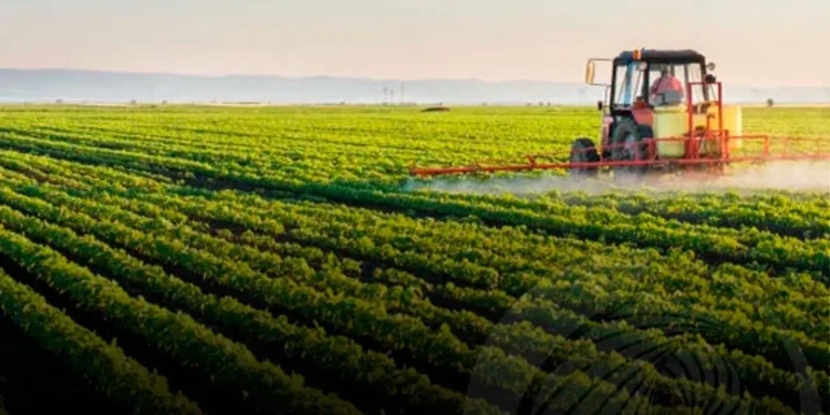 Governo francês disponibiliza 100 milhões de euros para o sector agrícola em Angola