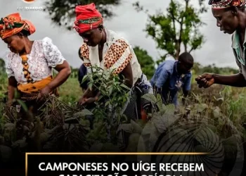 mponeses no Uíge recebem capacitação agrícola